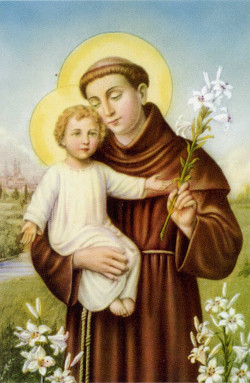 Tredicina a Sant'Antonio da Padova